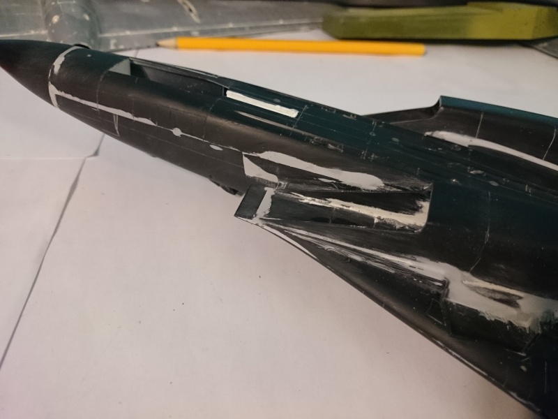 Rénovation F-14A Black Tomcat - Revell 1/48 Dsc_0119