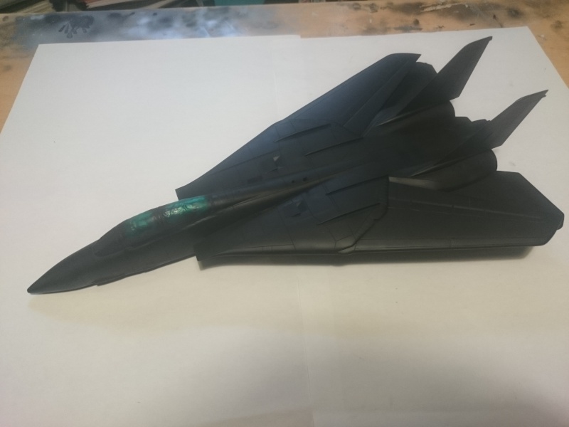 Rénovation F-14A Black Tomcat - Revell 1/48 Dsc_0410