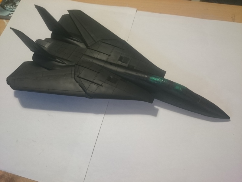 Rénovation F-14A Black Tomcat - Revell 1/48 Dsc_0411