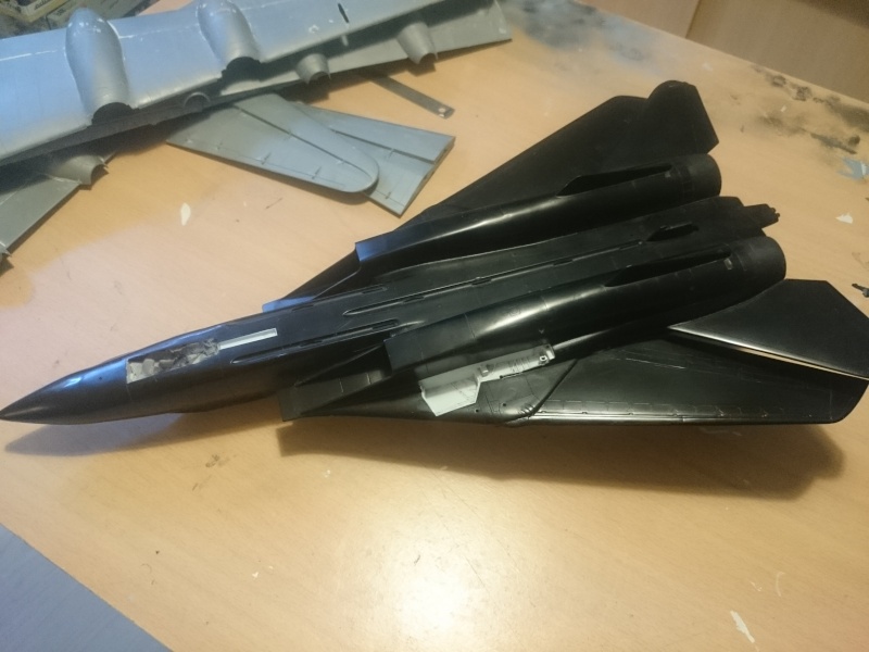 Rénovation F-14A Black Tomcat - Revell 1/48 Dsc_0424