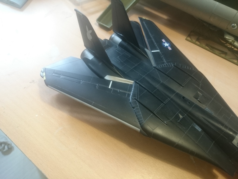 Rénovation F-14A Black Tomcat - Revell 1/48 Dsc_0431