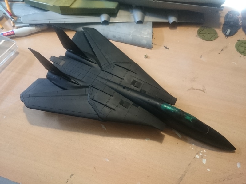 Rénovation F-14A Black Tomcat - Revell 1/48 Dsc_0515
