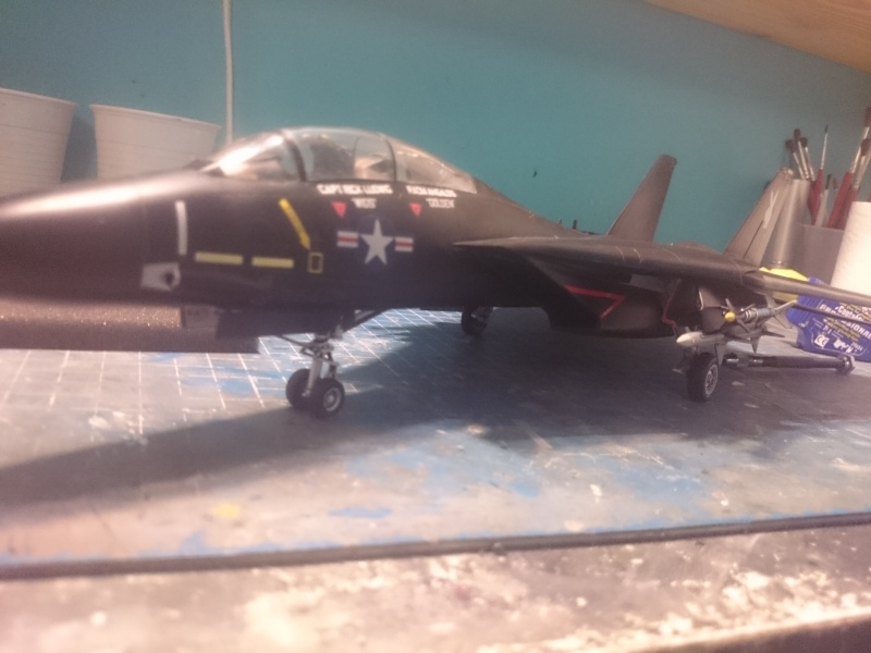Rénovation F-14A Black Tomcat - Revell 1/48 Dsc_0521