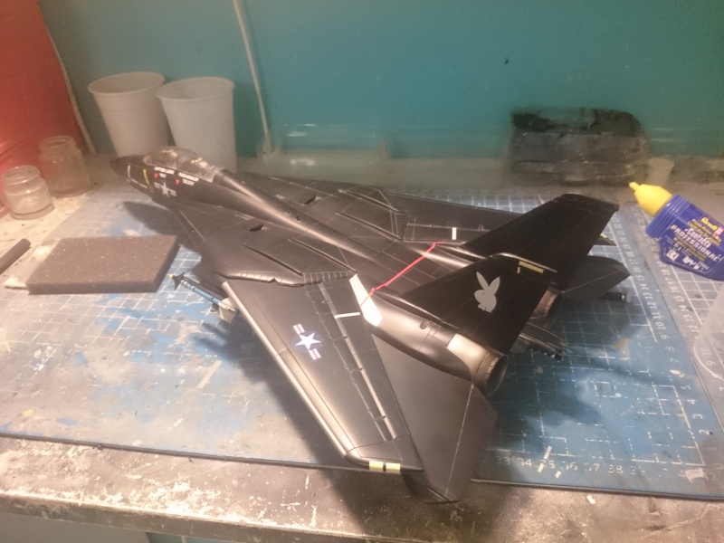 Rénovation F-14A Black Tomcat - Revell 1/48 Dsc_0522