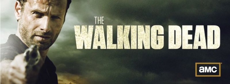 The Walking Dead (en cours) 53280110