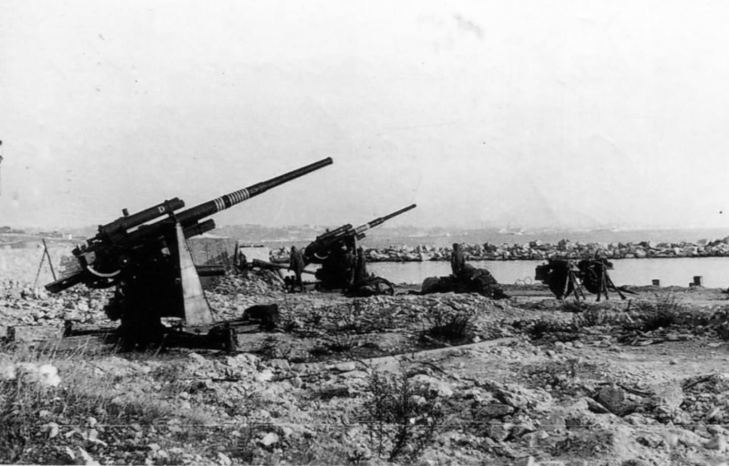 88 mm Flugzeugabwehrkanone (FlaK 18/36/37), terreur des alliés. - Page 6 29fwnk10