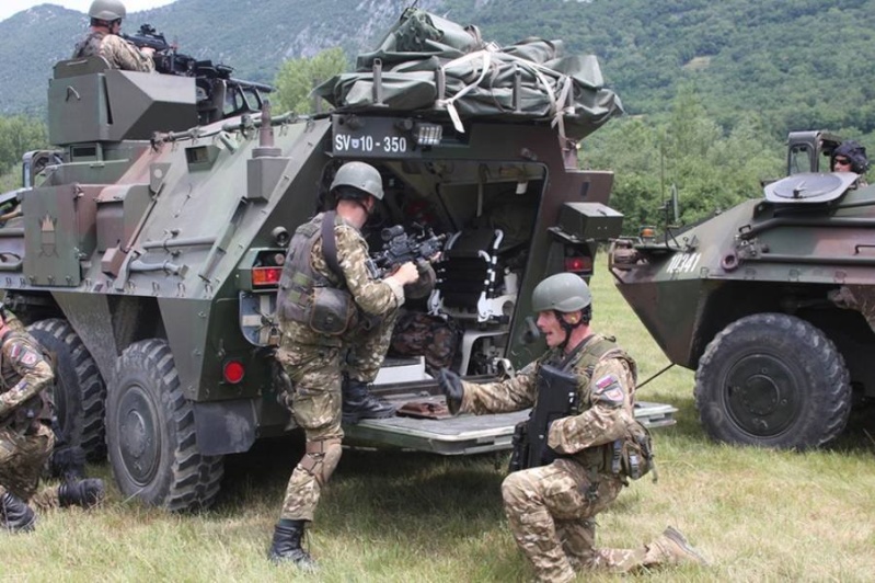 Slovenian Armed Forces / Slovenska vojska - Page 2 1f215