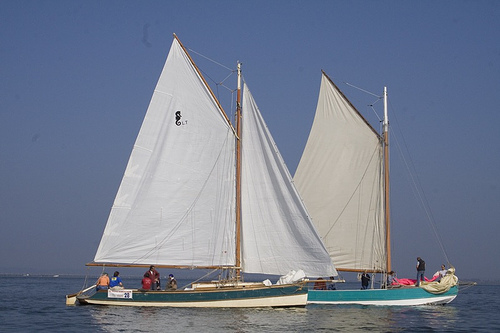 la pinasse Voile-10