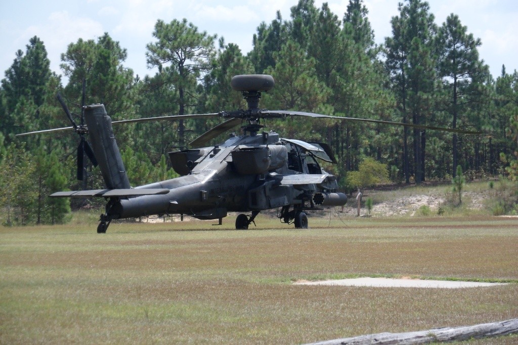 Perfect day flying & Fearless Bob Z's maiden flight - pics and vids Apache10