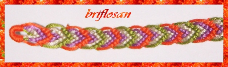 briflosan mes bracelets 0011010