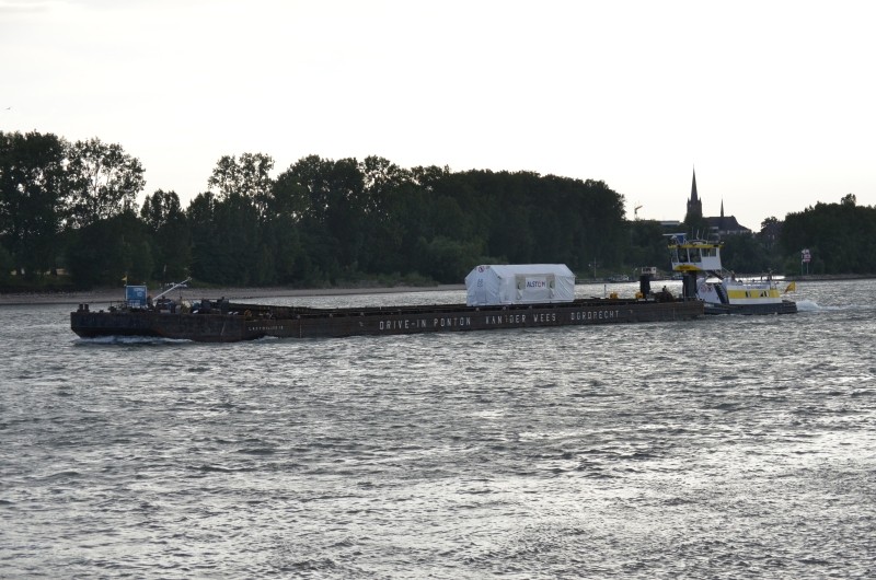 Der Rhein bei Mondorf am 22.07.2015 Dsc_1012