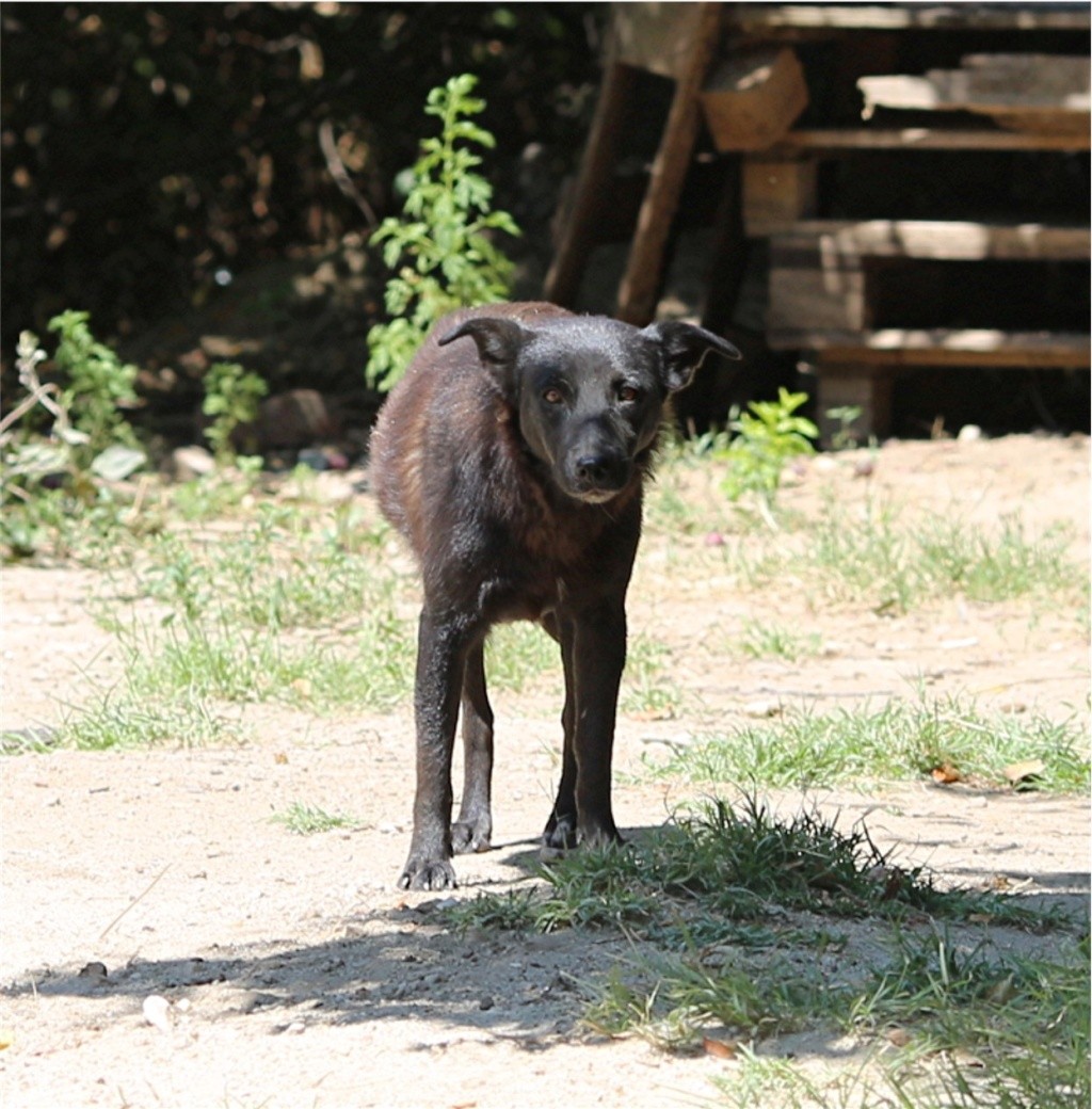 Parrainage de Bandita Bandit11