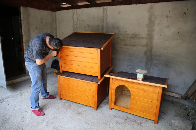 Installation des niches dans les deux nouveaux enclos, le samedi 8 août 2015 Hx9a4212