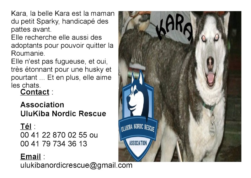 Fiches adoptions de nos Loulous Kara410