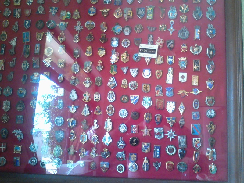collection d'insignes Img_2011