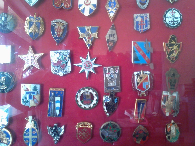 collection d'insignes Img_2013