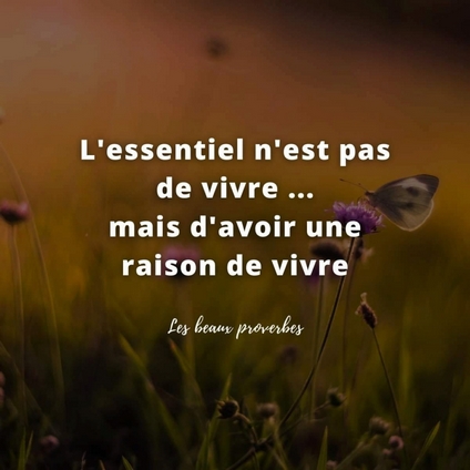 Proverbes / Octobre  4_octo10