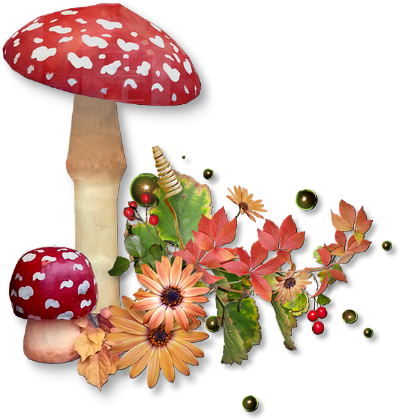 Défi du 14-15 Octobre / Champignons rouge Champi12