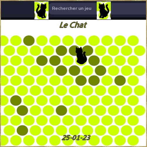Jeu Chat Noir Chat0062