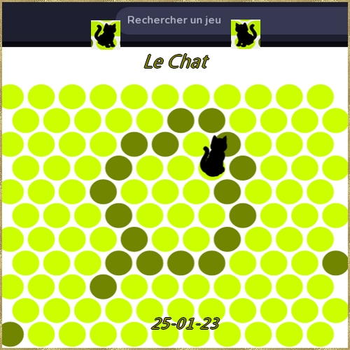 Jeu Chat Noir Chat0084