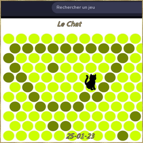 Jeu Chat Noir Chat0087