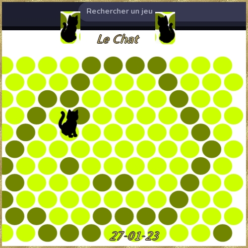 Jeu Chat Noir - Page 3 Chat0166