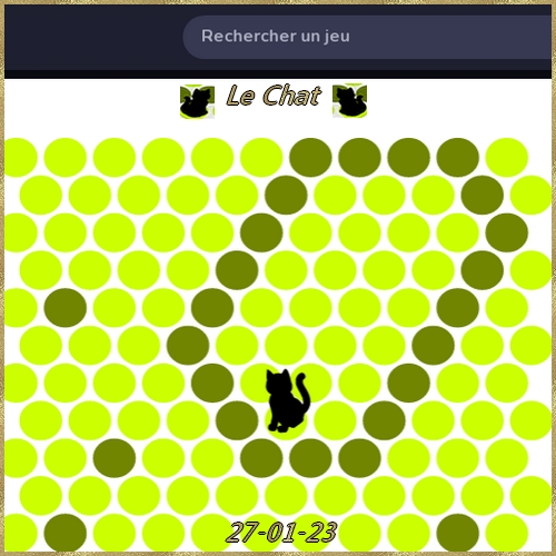 Jeu Chat Noir - Page 3 Chat0194