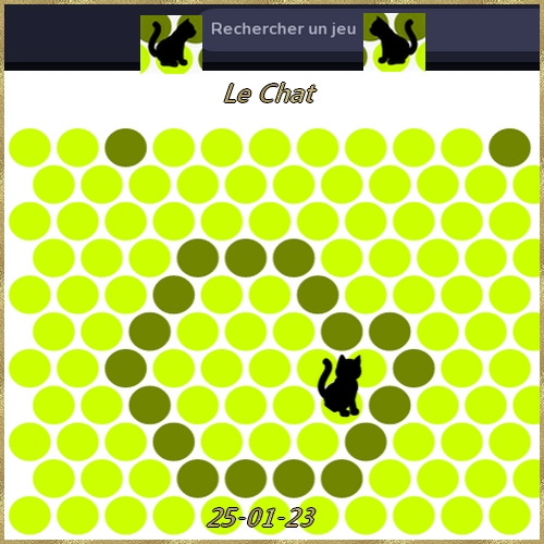 Jeu Chat Noir Chata017