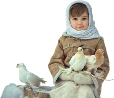 Défi du 6-7 Février / Enfant & pigeons Enfant32