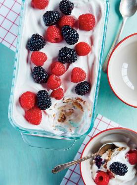 Gâteau frigo aux petits fruits Gatofr15