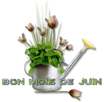 Défi du 2-3 Juin / Arrosoir & Tulipes  Mois_j10
