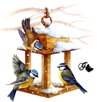 Défi 15-16-17 Janvier / Oiseaux hiver Oiso12
