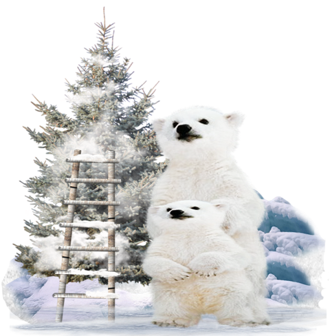Défi du 3-4 Décembre / Ours polaire Ourspo10