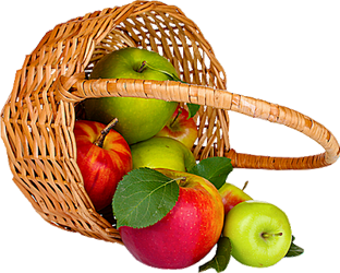 Défi du 13 Novembre / Panier fruits Panier15