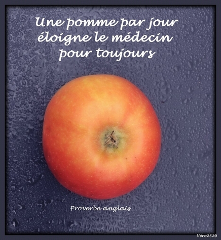 Proverbes Pomme12