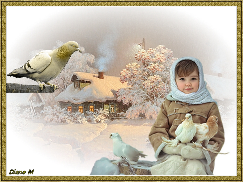 Défi du 6-7 Février / Enfant & pigeons Sans9463