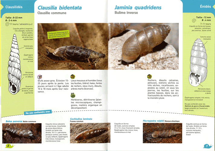 Les cahiers techniques de la Gazette des terriers Ct2b10