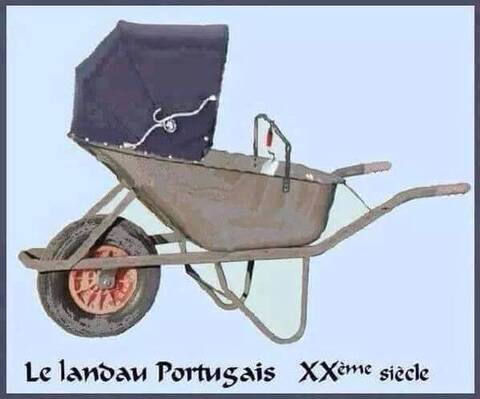 Gratuit Images Humour Portugais dernière par
