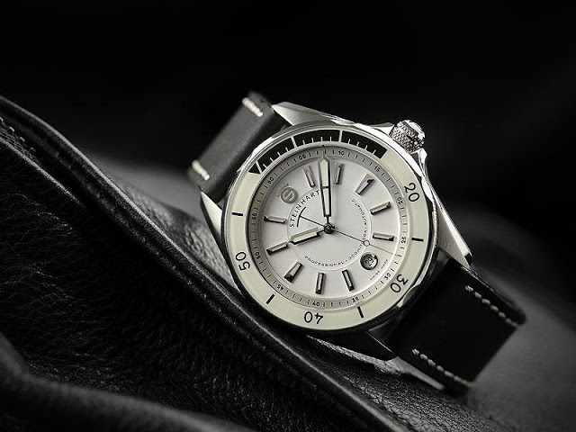 Et si vous deviez choisir entre ces 2 modèles? Steinh10