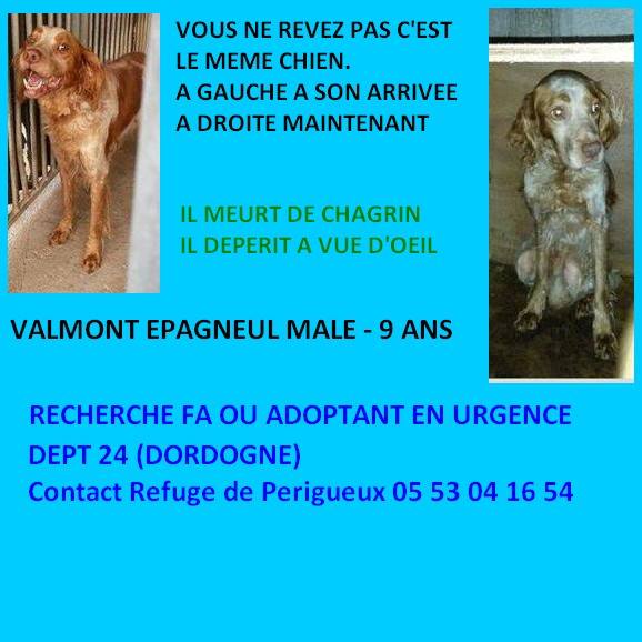 VALMONT a besoin d'une famille vite !!! Valmon10