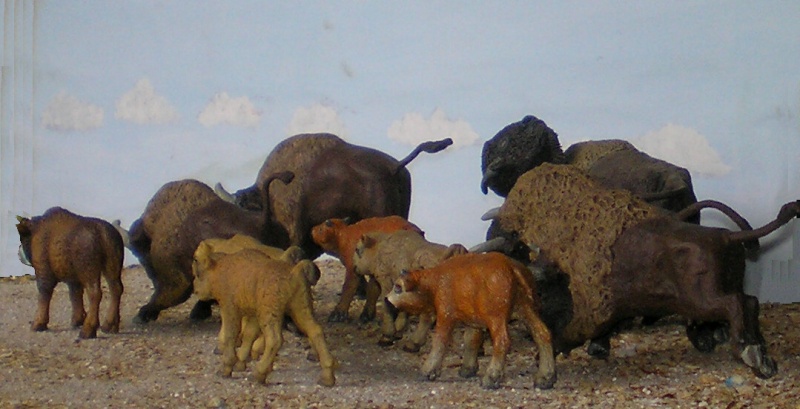 Bemalungen, Umbauten, Modellierungen - neue Tiere für meine Dioramen 013_2013