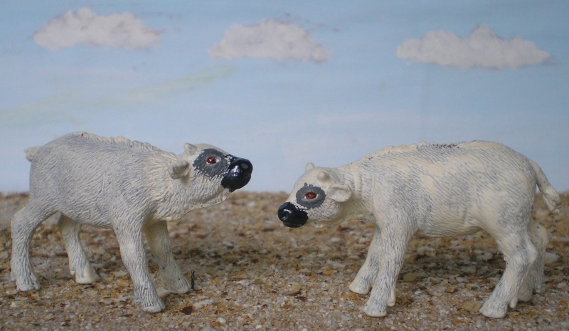Bemalungen, Umbauten, Modellierungen - neue Tiere für meine Dioramen 177c2_10