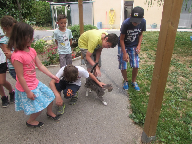 DE JEUNES VISITEURS AU REFUGE-CENTRE DE LOISIR 01215