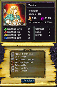 Puzzle Quest Challenge of the Warlords (Test DS) Quetes10