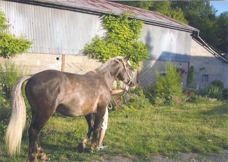 VIRGULE - ONCT né en 2009 - Adopté en mai 2011 par Pascale Virgul13