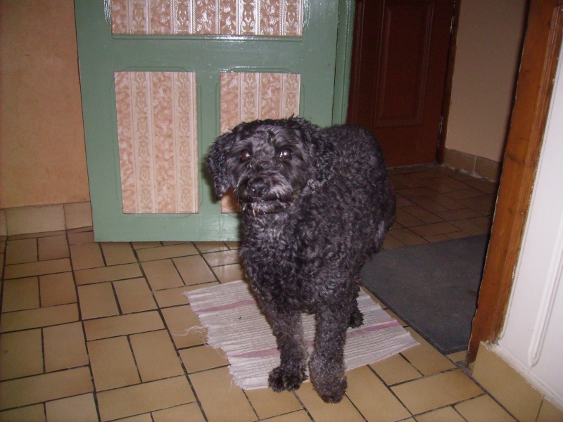 mon petit loulou ma quitté Pict0113
