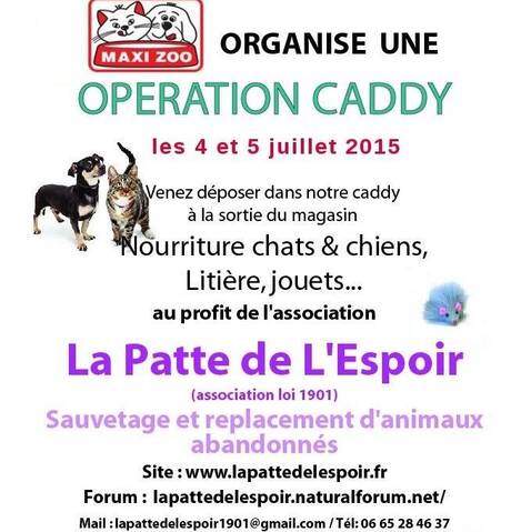 Nouvelles De L Association La Patte De L Espoir