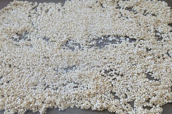Poulet parmesan en croûte de quinoa Quinoa10