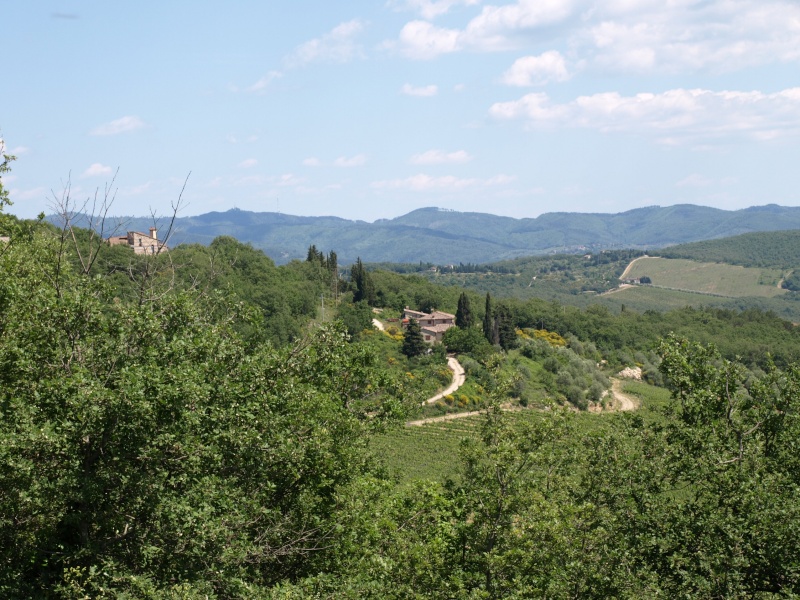 Vacances en Toscane P5284510