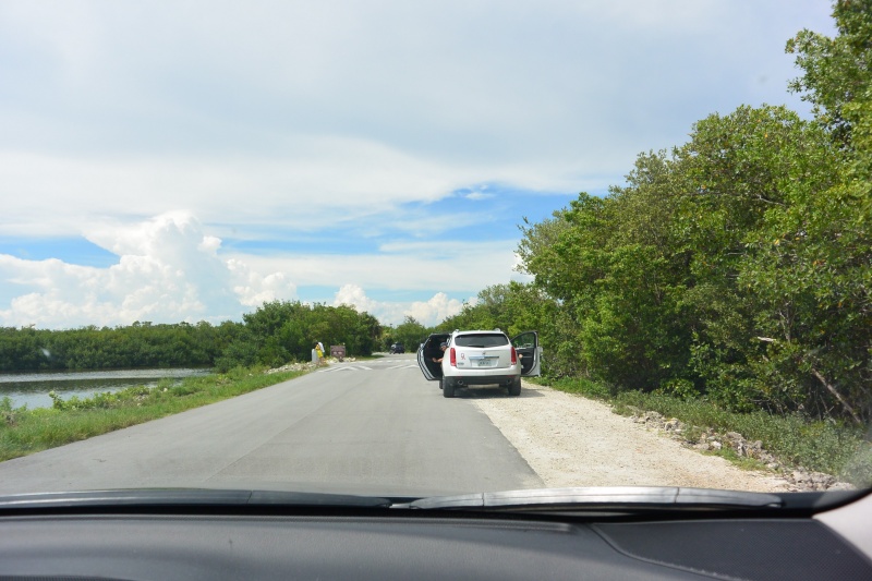 Le merveilleux voyage en Floride de Brenda et Rebecca en Juillet 2014 - Page 20 1513